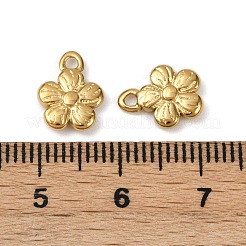 304 Stainless Steel Charms&nbsp;STAS-R170-01G-06