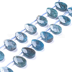 Natural Apatite Beads Strands&nbsp;G-G805-B02