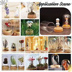 4 Sets Transparent Glass Dome Jar Cloche Display Cases&nbsp;AJEW-PH0011-24B