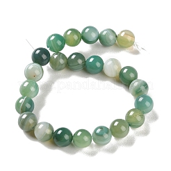 Natural Striped Agate/Banded Agate Beads Strands&nbsp;X-G-Z060-A01-B01