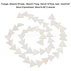2 Strands Natural Freshwater Shell Beads Strands&nbsp;BSHE-BC0001-14