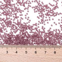 MIYUKI Round Rocailles Beads&nbsp;X-SEED-G009-RR4487