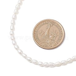Natural Cultured Freshwater Pearl Rice Beaded Necklaces&nbsp;NJEW-JN05688