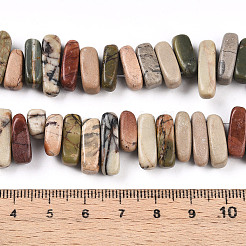 Natural Polychrome Jasper/Picasso Stone/Picasso Jasper Beads Strands&nbsp;G-T140-63