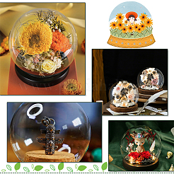Glass Dome Cover&nbsp;AJEW-WH0401-33