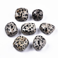 Natural Dalmatian Jasper Beads&nbsp;G-N332-012