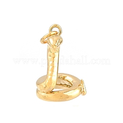 Brass Pendants&nbsp;KK-CBA855A-01G-06