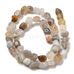 Natural Botswana Agate Beads Strands&nbsp;G-D081-A10-01