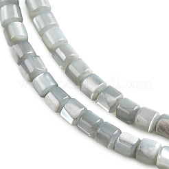 Natural Trochid Shell/Trochus Shell Bead Strands&nbsp;SSHEL-N034-77-C01