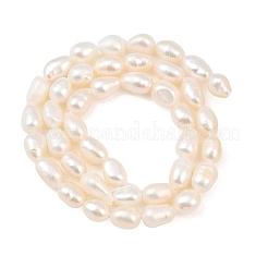 Natural Cultured Freshwater Pearl Beads Strands&nbsp;PEAR-F020-18