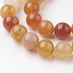 Natural Carnelian Beads Strands&nbsp;G-G735-64-10mm