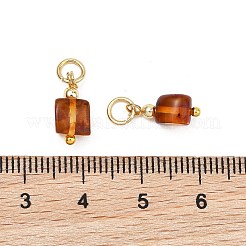 Natural Amber Pendants&nbsp;PALLOY-JF05273