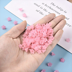 Transparent Acrylic Beads&nbsp;X-PL554-02