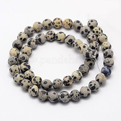 Natural Dalmatian Jasper Beads Strands&nbsp;G-D685-4mm