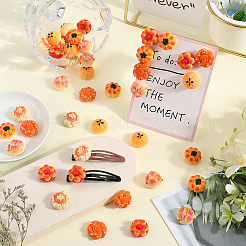 48Pcs 6 Styles Opaque Resin Imitation Food Decoden Cabochons&nbsp;CRES-SC0002-84
