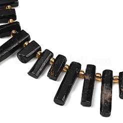 Natural Black Tourmaline Beads Strands&nbsp;G-F829-A03-01