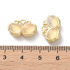 Rack Plating Alloy Resin Pendants&nbsp;FIND-M038-11G