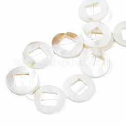 Natural Freshwater Shell Beads Strands&nbsp;SHEL-N026-171