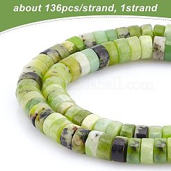 1 Strand Natural Serpentine Beads Strands&nbsp;G-OC0003-10
