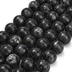 Natural Larvikite Beads Strands&nbsp;GSR20mmC128