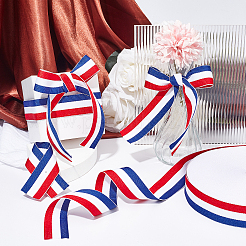 Polyester Grosgrain Ribbon&nbsp;SRIB-WH0009-02B