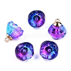 Transparent Spray Painted Glass Charms&nbsp;LS-GLAA-N035-031-G01