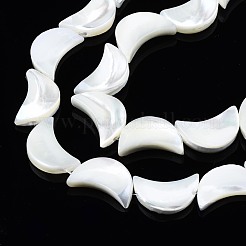 Natural Trochid Shell/Trochus Shell Beads Strands&nbsp;SSHEL-N034-97B-B01