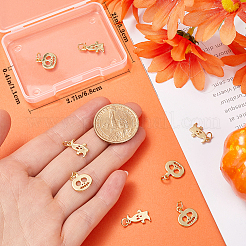 10Pcs 2 Styles Halloween Brass Charms&nbsp;KK-BBC0014-59