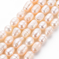 Natural Cultured Freshwater Pearl Beads Strands&nbsp;PEAR-S012-41E