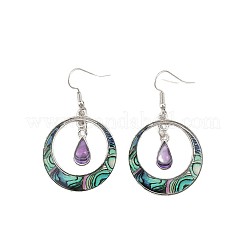 Bohemian Style Zinc Alloy Plastic Dangle Earrings&nbsp;FS-WG6C237-01