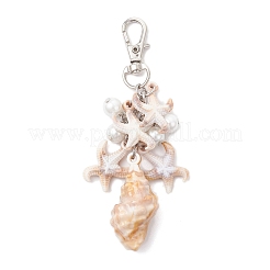 4Pcs 4 Styles Acrylic Starfish Conch Shell & Glass Pearl Pendant Decoration&nbsp;HJEW-JM03877