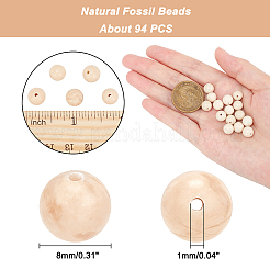 Natural Fossil Beads Strands&nbsp;G-AR0003-84