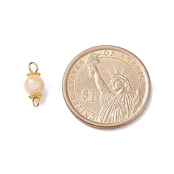 Natural Shell Connector Charms&nbsp;PALLOY-JF01658