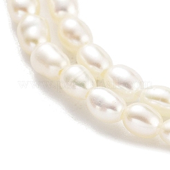 Natural Cultured Freshwater Pearl Beads Strands&nbsp;PEAR-P062-22
