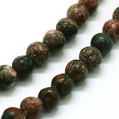 Natural Leopard Skin Jasper Beads Strands&nbsp;G-I199-23-6mm