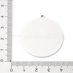 304 Stainless Steel Pendants&nbsp;STAS-D202-04P