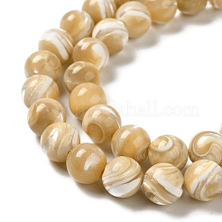 Natural Trochus Shell Beads Strands&nbsp;SHEL-K006-18D