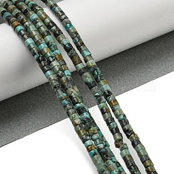 Natural African Turquoise(Jasper) Beads Strands&nbsp;X-G-C084-D03-02
