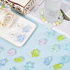 Transparent Acrylic Beads&nbsp;MACR-SC0001-57B