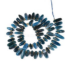 Natural Apatite Beads Strands&nbsp;G-Z091-A35