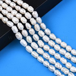 Natural Cultured Freshwater Pearl Beads Strands&nbsp;X-PEAR-N012-07A