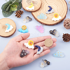 40Pcs 10 Style Opaque Resin Pendants&nbsp;RESI-KS0001-12