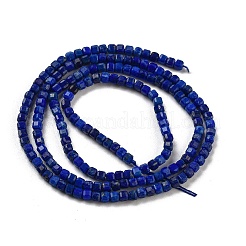 Natural Lapis Lazuli Dyed Beads Strands&nbsp;G-G140-C02-02