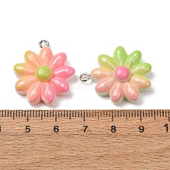 Gradient Color Opaque Resin Pendants&nbsp;RE-CBA5B90-05