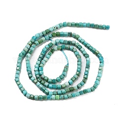 Natural HuBei Turquoise Beads Strands&nbsp;G-H042-B34-01