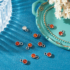 10Pcs Glass Rhinestone Charms&nbsp;STAS-TADJ0001-01