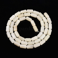 Natural White African Opal Beads Strands&nbsp;G-N346-01A-10