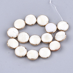 Freshwater Shell Multi-strand Links Strands&nbsp;X-SSHEL-T007-20B