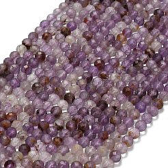 Natural Purple Phantom Quartz/Purple Lodolite Quartz Beads Strands&nbsp;G-L661-A01-5mm
