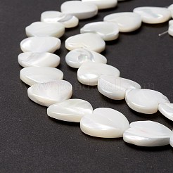 Natural Trochid Shell/Trochus Shell Beads&nbsp;SSHEL-O001-27D